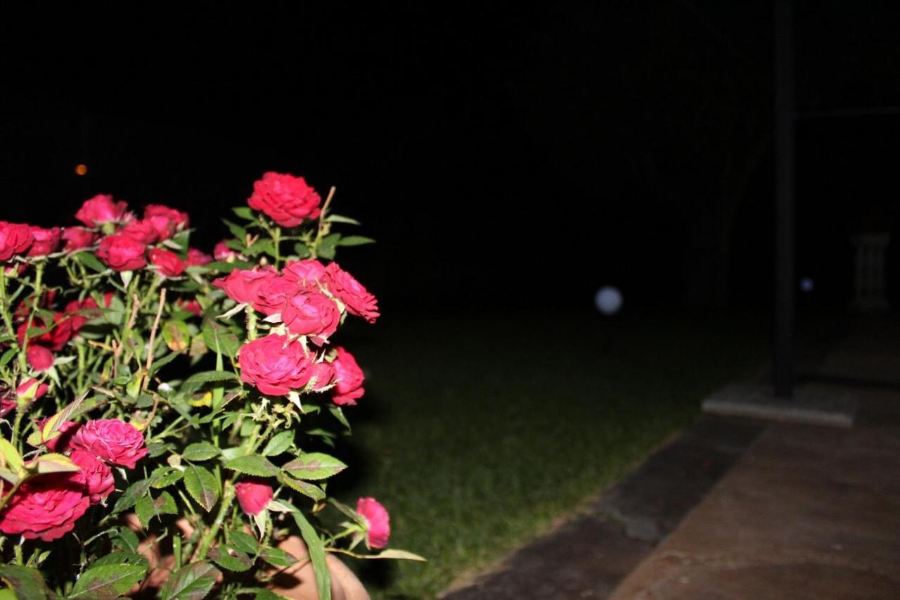 Hotel Ristorante L'Avvenire จิซเซเรีย ภายนอก รูปภาพ